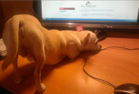 Взгрустнулось что-то…