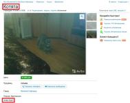 Продажа котят