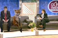 Пусть говорят!