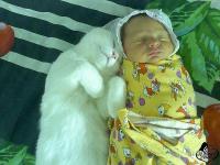 Котэ рад больше всех в доме