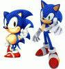 Sonic RPG