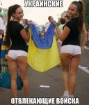 Отвлекающие войска )