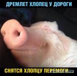 в ожидании перемоги