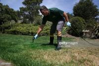 РАБОТА в Калифорнии!!! Приглашаются бывшие военнослужащие Советской армии с опытом покраски травы