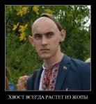 Об анатомии