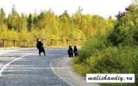 Travel to Russia hitchhiking