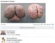 Человек. Венец творенья)))