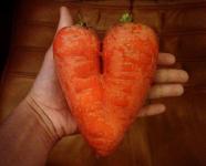 Любовь-морковь. Всем хорошего дня