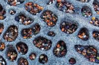 Мелкие камушки, заполняющие отверстия в скале во время прилива. Пляж в Калифорнии, США