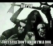 день 28. чуваки до сих пор не поняли что я пёс