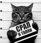 Срок обеспечен