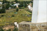 Трава есть? А если найду?