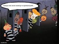 Более 300 тонн санкционной продукции уничтожили в России за один день