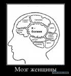 Мозг женщины