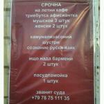 Триебутса афисиантка мушской 3 штук