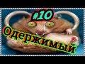 Лучшие приколы |Одержимый|