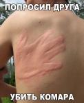 Попросил друга убить комара