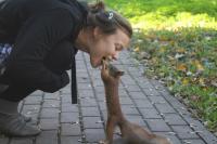 Кризис. Белки начали помогать нуждающимся