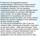 Дельфины так похожи на людей…