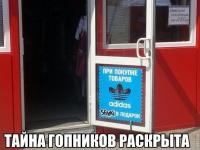 Адидас и семки — близнецы-братья