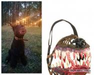 Ради такого намордника можно и собаку завести