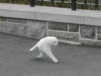 Белый пушистый зверек идет к вам :)