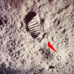 Хьюстон, у нас мяу