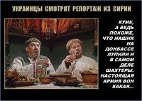 Украинцы смотрят репортаж из Сирии