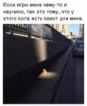 Котоквест