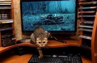 И тут мне реально стало страшно