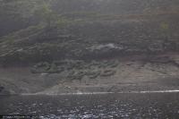 Карелия. Ладожские шкхеры