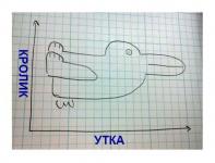 График зависимости кролика от утки