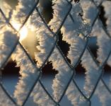 Даже решетка бывает красивой