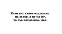 вы — мох