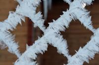 Колючая проволока