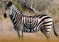 Всех причастных и сочувствующих с наступающим!