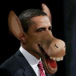 Выдал Гугл по запросу «фото обезъяны»