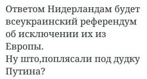 Хакеры сообщили о намерении Киева сорвать референдум в Нидерландах