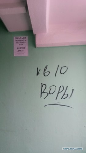 Подарок коллектора-дебила