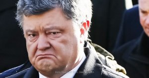 Порошенко просят назначить Савченко министром обороны и назвать в ее честь аэропорт