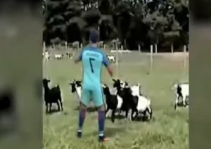 Рассерженный Роналду стал мемом и «избил» козлят и малыша