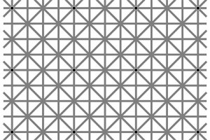 Новый интернет-мем: пользователи пытаются увидеть 12 точек и не могут