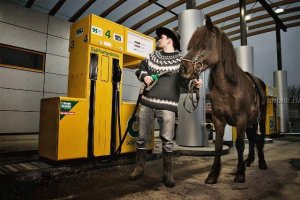 Это - Россия!: Водитель "заправил" бензином лошадь