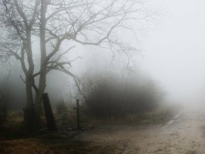 [пятничное?]После смерти люди попадают в параллельный мир