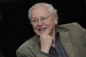 Британский телеведущий предложил пристрелить Дональда Трампа