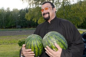 Стало известно, какую пенсию сможет получать в России Стивен Сигал