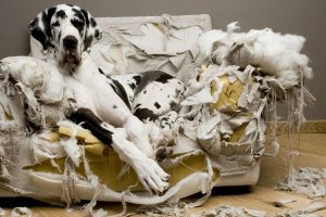 "Во всем виноваты русские": американцы в соцсетях высмеивают свою власть