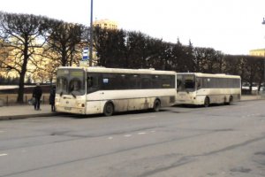 Отчего быстро состарились автобусы до Гатчины