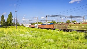 Травма в погоне за эффектным селфи