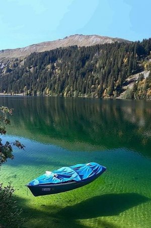 Самое чистое озеро Германии. Интересные факты (озеро Кёнигзее)